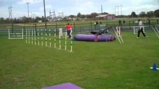 Cheri + Bagley Agility Run Sept 18, 2010