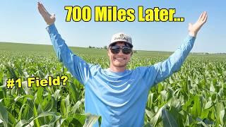 I Searched 700 Miles of Farmland... Nothing Came Close to This