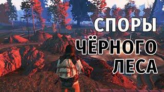 87. Споры Чёрного Леса. Сталкер Онлайн | Stalker Online | Stay Out. RU2.