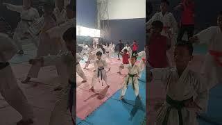 Excellent kids karate training #youtube #karate #training#wkfkarate