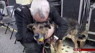 Finn's Law (for service animals) comes into force (UK) - BBC News - 8th June 2019