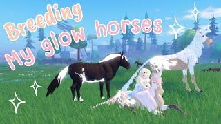 Breeding My GLOW HORSES To Try & Get More  | Horse Life