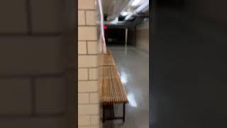 My school is the backrooms