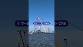 Maryland Gov. Moore on helping port workers affected by the collapse of the Francis Scott Key Bridge