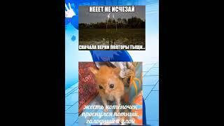 #саторугоджо #мем #кот