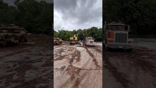 Sad sight and story. Georgia-pacific (gp) mill emporia va #logging #sawmill #plywood #pine