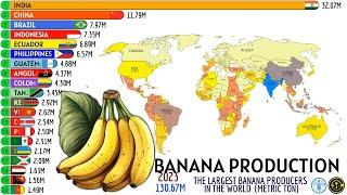 THE LARGEST BANANA PRODUCERS IN THE WORLD