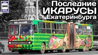 Последние Икарусы Екатеринбурга | The last Ikarus buses in Yekaterinburg