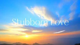 The Lumineers - Stubborn Love (Lyrics)