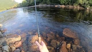 Salmon fishing Gaula River- Winsnes Lodge August 2018