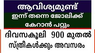 2025 Kerala Job vacancy/latest job vacancy in kerala/kerala job vacancy today/job vacancy 2025 #job