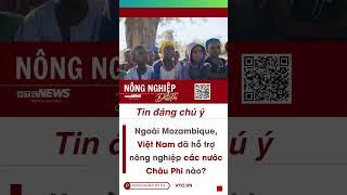 Ngoài Mozambique, Việt Nam đã hỗ trợ nông nghiệp các nước Châu Phi nào? # #nôngnghiệphay #tintuc