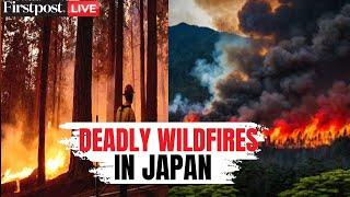 Japan Wildfire LIVE: Deadly Wildfire in Northeast Japan, Forces Evacuation; Wildfire in Japan