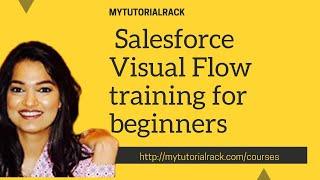 Salesforce Visual Workflow Training for beginners:  Overview of Cloud Flow Designer tool