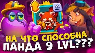 Rush Royale | Мастер стихий -- какой выбрать талант ? | 9 Панда против всех