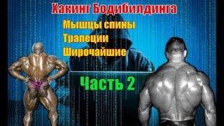 Как накачать мышцы спины. Лучшие упражнения. Техника. Часть 2. Хакинг Бодибилдинга