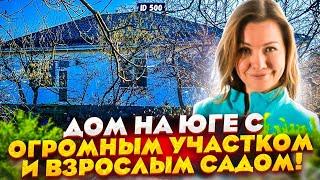 Дом на юге с фруктовым садом на 11 сотках.