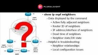 Show and Debug OSPF Commands