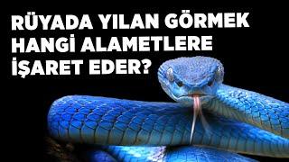 Rüyada Yılan Görmek Hangi Alâmetlere İşaret Eder?