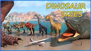 How BIG are DINOSAURS | Movie vs Real Dinosaur Size Comparison 3D 