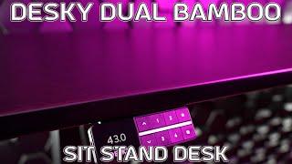 Desky Dual adjustable height desk review