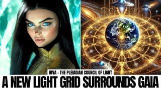 "The Co-Ordinated Effort To Help Starseeds..." (Light Forces) | Pleiadian Council Of Light (Rieva)