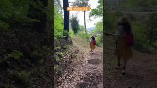 귀여운 강아지 #dog
