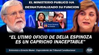 EXPRESIDENTE DEL TC: EL ULTIMO OFICIO DE DELIA ESPINOZA A LA JNJ ES UN CAPRICHO INACEPTABLE