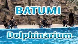 Дельфинарий. Батуми_ 2016_ Dolphinarium. Batumi.