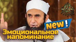 Секрет возвышения в этом мире (работает даже с неверующими)| Dawah Project