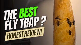 Does Raid® Fly Ribbon Work? - FULL Fly Trap REVIEW ! #flies #flytrap #bugtrap