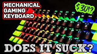 AWESOME $30 Mechanical Keyboard by METOO [Review]