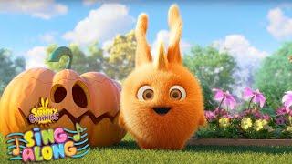 WHERE ARE YOU? | SUNNY BUNNIES SING ALONG | Halloween Cartoons for Kids | Nursery Rhymes