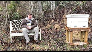 Minimal Disturbance as a Natural Beekeeper