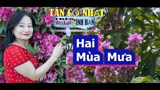130 Mời KÉP  HAI MÙA MƯA  BÍCH PHƯƠNG 7475  ,,,,,,,, TRUELOVE  ENGLISH MEANING