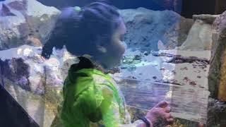 Vanya At Kyoto Aquarium, Japan