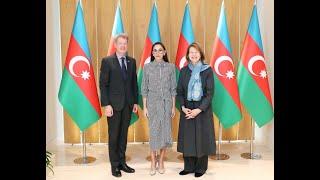 First Vice-President Mehriban Aliyeva met with UK Prime Minister's Trade Envoy to Azerbaijan