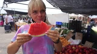 A Trip to Alicante’s Market - Mercado Teulada