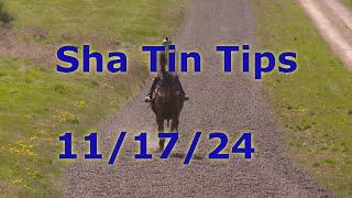 Hong Kong Horse Racing Tips 11/17/2024 - Sha Tin