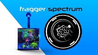 Serious Coral Color? | Illumagic Pixel Fragger