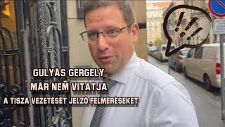 Gulyás Gergely már nem vitatja a TISZA vezetését jelző felméréseket