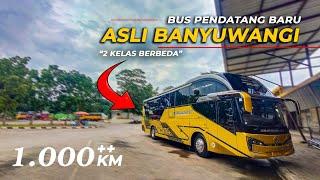 BERAPA JAM JAKARTA BANYUWANGI??  - BUS "REBAHAN" BERLIAN BLAMBANGAN ASLI BANYUWANGI