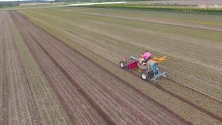 Terrateck - Weed control on tree nursery