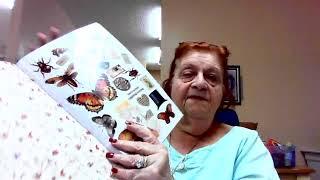 Betty's Creative Studio New Product Arrivals May 31, 2025