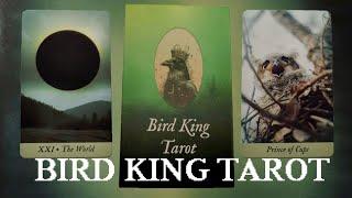 Обзор на атмосферную колоду "Bird King tarot".