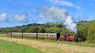 Palmerston Photo Charter on the Vale of Rheidol Railway - 13th September 2024