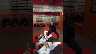 Have You Tried This Guard Pass | ROYDEAN