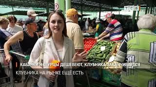 КАБАЧКИ И ОГУРЦЫ ДЕШЕВЕЮТ, КЛУБНИКА ЗАКАНЧИВАЕТСЯ