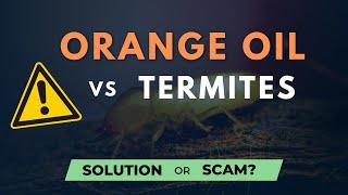 Orange Oil Treatment for Termites - Does it work? (DIY Termite Treatment)