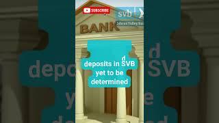 Silicon Valley Bank Collapses - Is Your Startup at Risk?